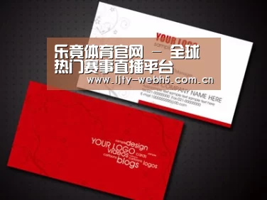 项目名称八