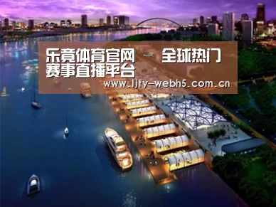 案例展示八