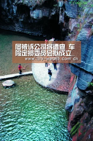 屡被诉公司将遭查 车险定损委员会拟成立_乐竞体育官网(图2) 乐竞体育平台