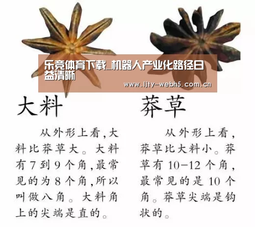 乐竞体育下载_机器人产业化路径日益清晰(图1) 乐竞体育