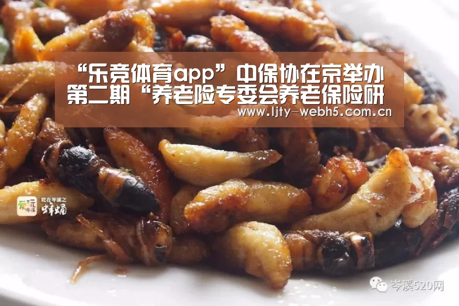 “乐竞体育app”中保协在京举办第二期“养老险专委会养老保险研究沙龙”活动(图1) 乐竞体育官网