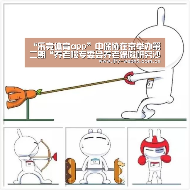 “乐竞体育app”中保协在京举办第二期“养老险专委会养老保险研究沙龙”活动(图3) 乐竞体育官网