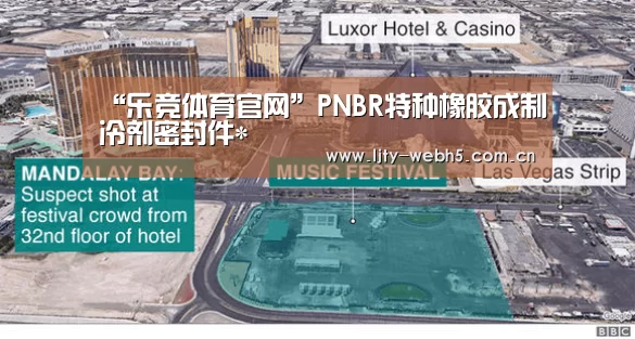 “乐竞体育官网”PNBR特种橡胶成制冷剂密封件*(图2) 乐竞体育平台