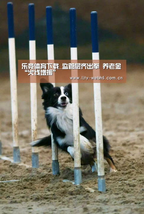 乐竞体育下载_监管层齐出拳 养老金“火线增援”(图2) 乐竞体育官网