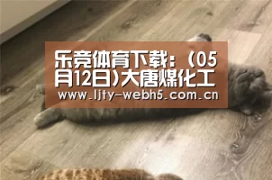 乐竞体育下载:(05月12日)大唐煤化工板块3年负债率达95%(图2) 乐竞体育app